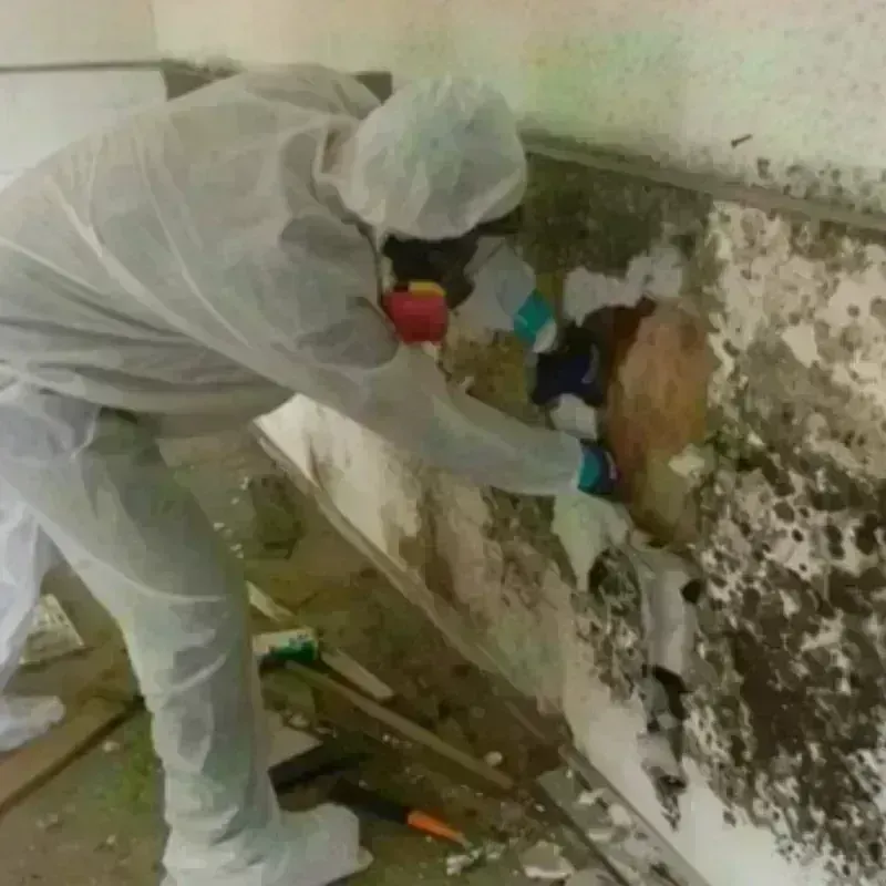 Mold Remediation and Removal in Negaunee, MI