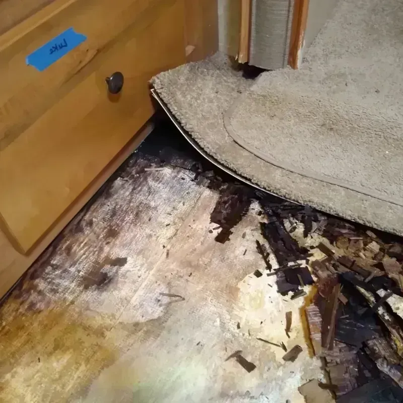 Wood Floor Water Damage in Negaunee, MI